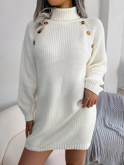 Rollkragenpullover Winterkleid für Frauen