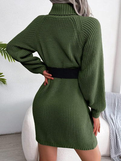Rollkragenpullover Winterkleid für Frauen