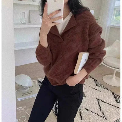 Eleganter schöner Pullover für Frauen