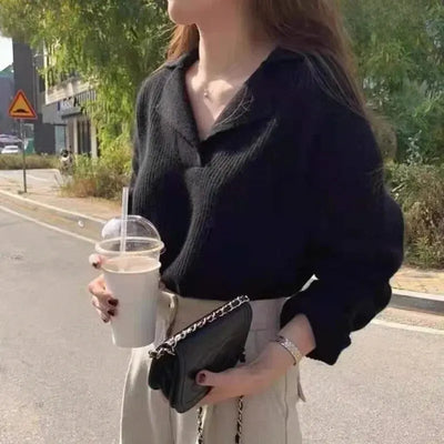 Eleganter schöner Pullover für Frauen