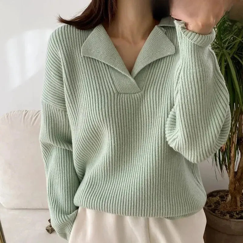Eleganter schöner Pullover für Frauen