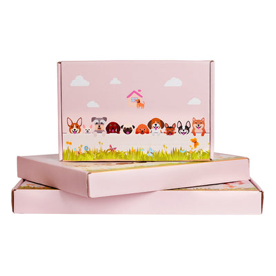 Abessinische Katze Blumentopf