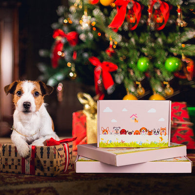 Border Terrier Pflanztopf