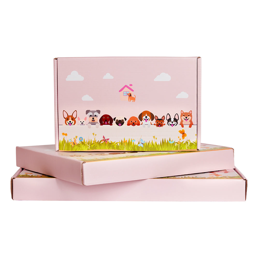 Armadillo Flower Pot