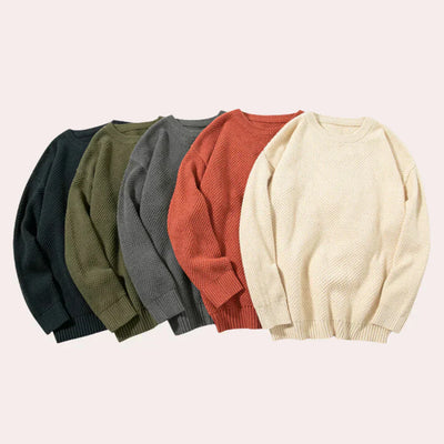 Lässige Herren-Windjacke mit Rundhals-Pullover für stilvolle Freizeitlooks